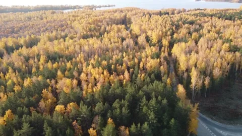 Aerial view Stock Footage 141185083