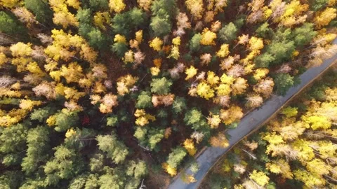 Aerial view Stock Footage 141185139