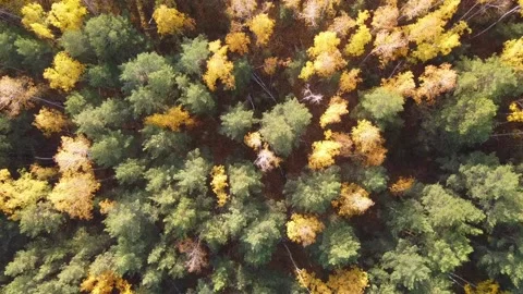 Aerial view Stock Footage 141185142