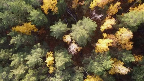 Aerial view Stock Footage 141185160