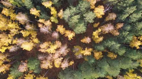 Aerial view Video stock 141185176