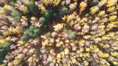 Aerial view Stock Footage 141185180