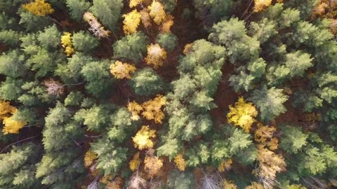 Aerial view Stock Footage 141185183