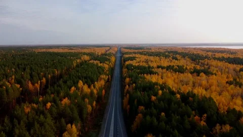 Aerial view Stock Footage 141185184