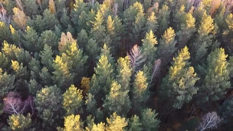 Aerial view Stock Footage 141185239