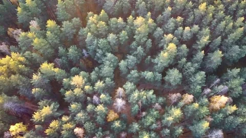 Aerial view Stock Footage 141185249