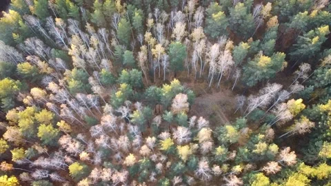 Aerial view Video stock 141185291