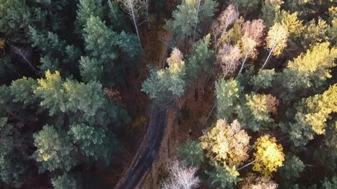 Aerial view Stock Footage 141185330