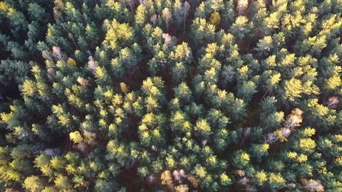 Aerial view Stock Footage 141185332