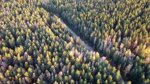 Aerial view Stock Footage 141185340