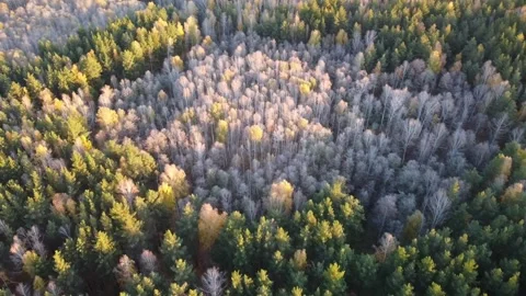 Aerial view Stock Footage 141185378