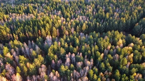 Aerial view Stock Footage 141185433