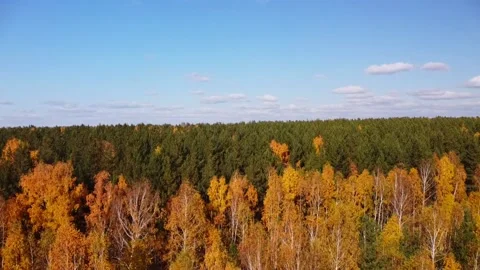 Aerial view Stock Footage 141185565