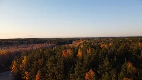 Aerial view Stock Footage 141319872