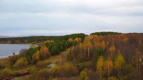 Aerial view Stock Footage 141319899