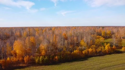 Aerial view Stock Footage 141319910