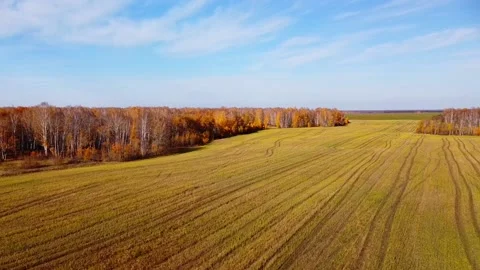 Aerial view Stock Footage 141319915