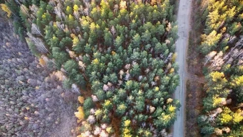 Aerial view Stock Footage 141319939