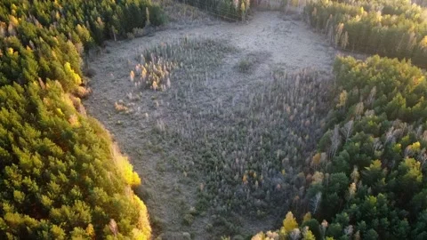 Aerial view Stock Footage 141319966