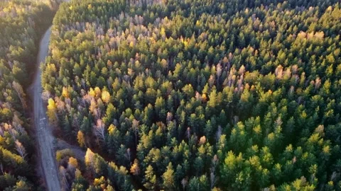 Aerial view Video stock 141319971