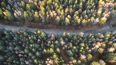 Aerial view Stock Footage 141319977