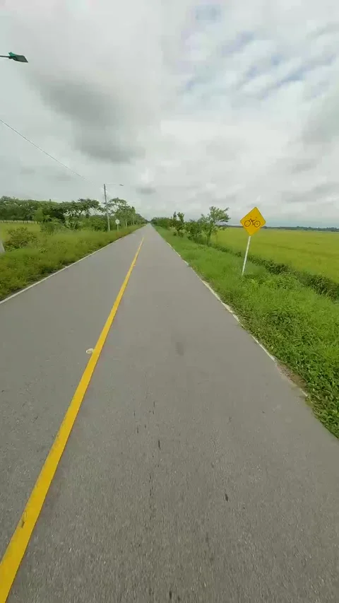 Aerial view Stock Footage 304463848