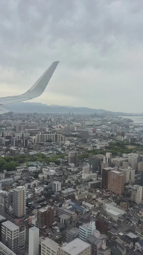 Aerial view Video stock 336909267