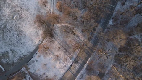 Aerial view of a footpath running through Prospect Park Stock Footage 297295670