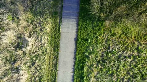 Aerial view of a footpath in the woods Stock Footage 152949347