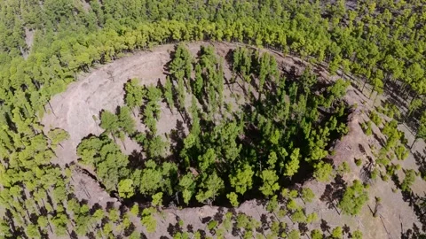 Aerial view of the Forces of Nature 動画素材 335804776
