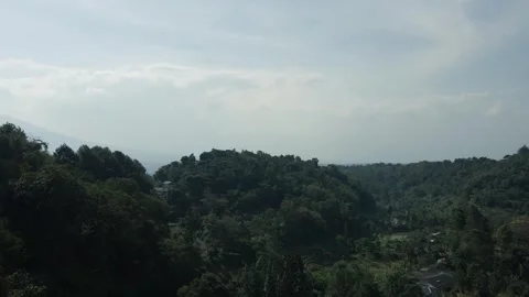 Aerial view of forest 11 Video stock 291948552