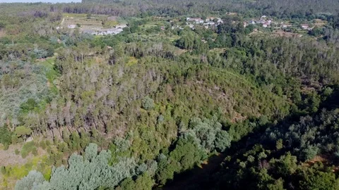 Aerial View Forest 2K Stock Footage 237818633
