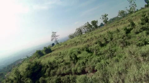 Aerial view of forest 5 Stock Footage 291859549