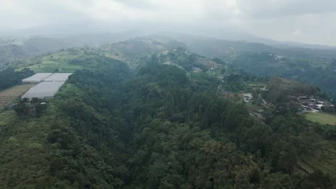 Aerial view of forest 7 Video stock 291933453