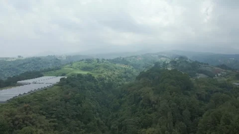 Aerial view of forest 9 Stock Footage 291946112