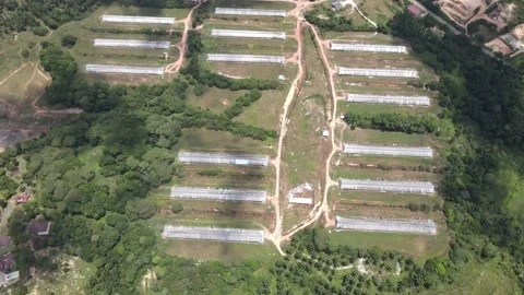 Aerial view of forest and chicken farm's roof in Alor Gajah, Malacca Stock-Footage 151189885