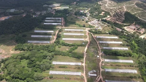 Aerial view of forest and chicken farm's roof in Alor Gajah, Malacca Stock Footage 151190160