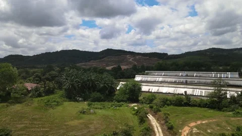Aerial view of forest and chicken farm's roof in Alor Gajah, Malacca Stock Footage 151191235