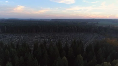Aerial view of forest and clear cut area deforestation Stock Footage 105671296
