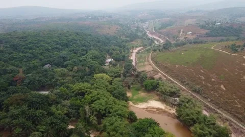 Aerial view of a forest and cleared land with a winding path through it Stock Footage 317933171
