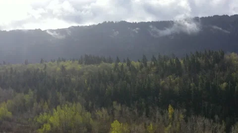 Aerial View of Forest and Clouds in Northern Oregon Stock-Footage 174828526