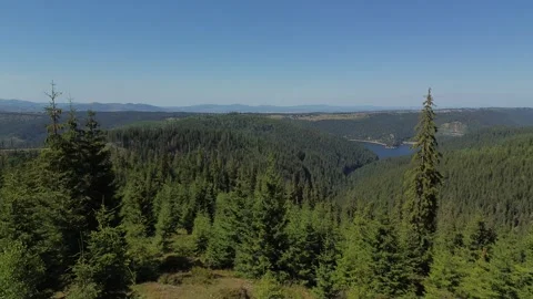 Aerial View of Forest and Distant Lake in the Apuseni Mountains - Romania Stock Footage 345512624