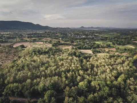 Aerial view of forest and empty land before the planting season in Indonesia 스톡 사진