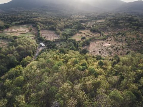 Aerial view of forest and empty land before the planting season in Indonesia 스톡 사진