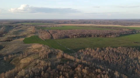 Aerial view of the forest and field Stock Footage 187859314