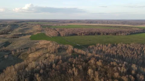 Aerial view of the forest and field Stock Footage 187860134