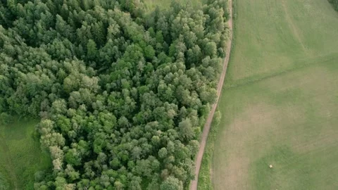 Aerial view of the forest and field. Stock Footage 202011639