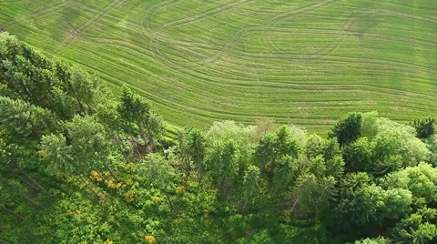Aerial View Of Forest and Fields Stock Footage 53194492