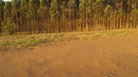 Aerial view of forest and fields Stock Footage 73703324
