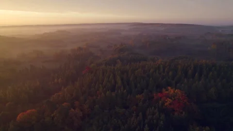 Aerial view of forest and fields with foggy morning sunlight Vídeos de archivo 348681643